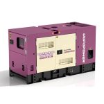 Diesel Generator Set (PPW-28)