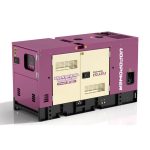 Diesel Generator Set (PPW-50)